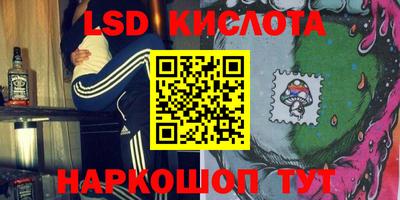 амф Новодвинск