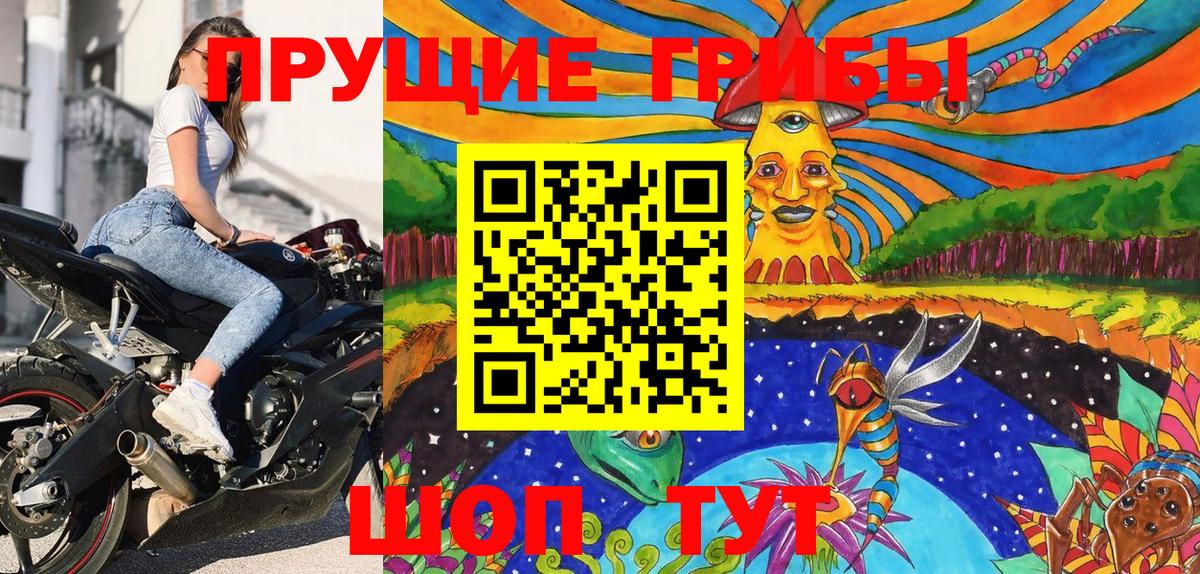 Чистополь  Псилоцибиновые грибы Magic Shrooms  Вход с VPN  Псилоцибиновые грибы Psilocybe 