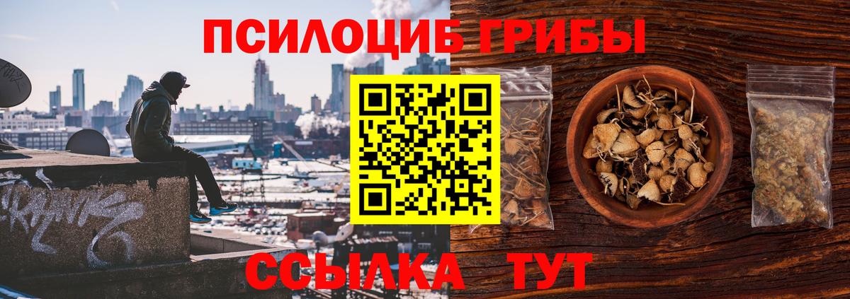 Псилоцибиновые грибы GOLDEN TEACHER Чистополь